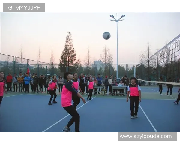 南京排球队的成长之路：城市联赛中的拼搏与梦想