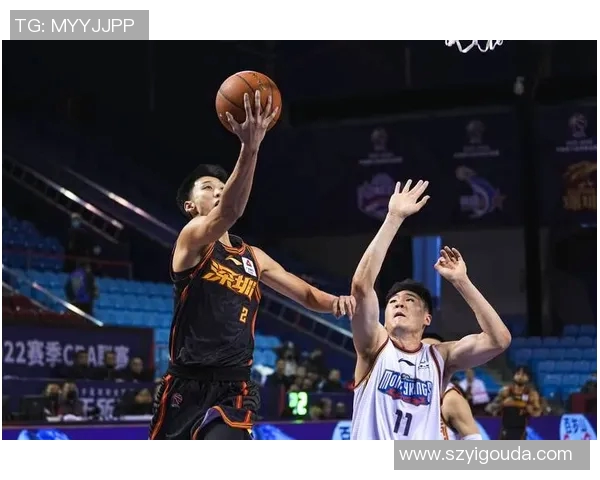 南京篮球队在冠军赛中的战术分析与表现评估