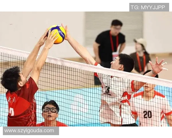 杭州排球队展现卓越团队协作实力荣获全国排球团队协作排名新高