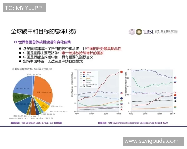 武汉乒乓球队转型之路的真实记录与发展历程探讨