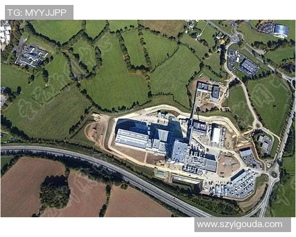 武汉篮球队反击之路：从困境到崛起的全景解析与展望