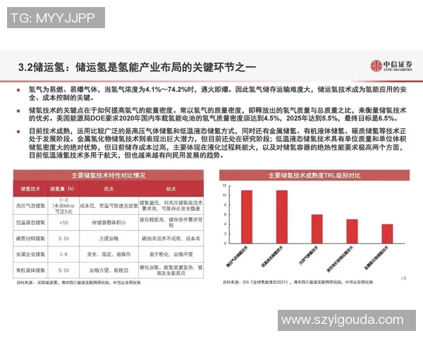成都排球队技术分析与战术创新的深度探讨与展望
